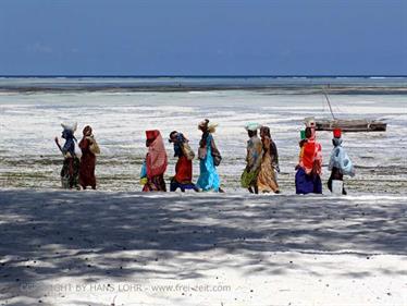 Beach walk, Zanzibar, DSC07398b
